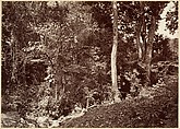 Tropical Scenery, View Near Chipigana, John Moran (American (born England), Bolton, Lancashire 1821–1903 Pennsylvania), Albumen silver print from glass negative