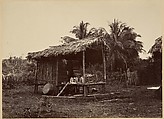 Tropical Scenery, Native Hut, Turbo, John Moran (American (born England), Bolton, Lancashire 1821–1903 Pennsylvania), Albumen silver print from glass negative