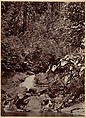 Tropical Scenery, Cascade, Limon River, John Moran (American (born England), Bolton, Lancashire 1821–1903 Pennsylvania), Albumen silver print from glass negative