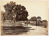 [View of Garden], Unknown, Albumen silver print