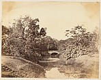 [Botanical Gardens, Calcutta], Unknown, Albumen silver print