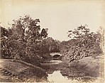 [Botanical Gardens, Calcutta], Captain R. B. Hill  British, Albumen silver print