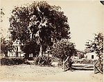 Gate Leading into Our House, Captain R. B. Hill  British, Albumen silver print
