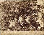 View From Our Garden, Dum Dum, Captain R. B. Hill  British, Albumen silver print