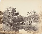 [Botanical Gardens, Calcutta], Captain R. B. Hill  British, Albumen silver print