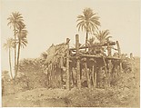Nubian Sakkieh, or Water Wheel, Robert Murray  British, Albumen silver print