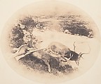 [Two Stags, One Shot by Mr. Ross and the Other by Mrs. Ross], Horatio Ross  British, born Scotland, Salted paper print