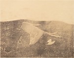 [Dead Roe Buck], Horatio Ross  British, born Scotland, Albumen silver print