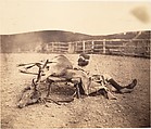 [Peel Ross with Hunting Trophies], Horatio Ross  British, born Scotland, Albumen silver print