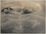 Water Lilies, Adolf de Meyer  American, born France, Platinum print