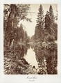 Merced River, Yosemite, Carleton E. Watkins  American, Albumen silver print from glass negative