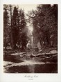 Hutchings Hotel, Yosemite, Carleton E. Watkins  American, Albumen silver print from glass negative