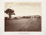 Santa Margarita Ranch, Carleton E. Watkins  American, Albumen silver print from glass negative