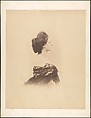 [Profile with Chignon, Large], Pierre-Louis Pierson  French, Albumen silver print from glass negative
