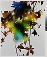 012 (from the series "Flowers"), James Welling  American, Chromogenic print