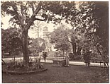 Garden at the English Consulate, Canton, John Thomson British, Scottish, Albumen silver print from glass negative