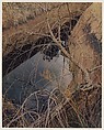 Dead Tree and Pool, Waterpocket Fold, Glen Canyon, Utah, Eliot Porter  American, Dye transfer print