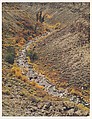 Taos River Canyon, New Mexico, Eliot Porter American, Dye transfer print