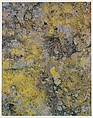 Lichen on Boulder, Between San Javier and Comondu, Baja California, Eliot Porter  American, Dye transfer print