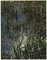 Near Mason Pond, Hamilton County, Adirondack Park, New York, Eliot Porter  American, Dye transfer print