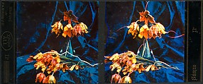 [Tulips], Auguste-Marie-Louis-Nicolas Lumière (French, Besançon 1862–1954 Lyon) and, Trichromie