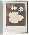 Album di disegni fotogenici, William Henry Fox Talbot (British, Dorset 1800–1877 Lacock), Salted paper prints