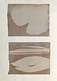 Album di disegni fotogenici, William Henry Fox Talbot (British, Dorset 1800–1877 Lacock), Salted paper prints