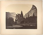 Camp Grove, Near Sentinel, Carleton E. Watkins  American, Albumen silver print from glass negative