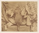 Still Life and Embroidery, Robert Wilfred Skeffington Lutwidge  British, Albumen silver print