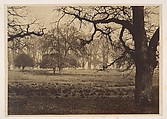 Windsor Park, Deer Feeding, W. H. Nicholl, Albumen silver print