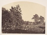 The Woodland Stream, Plunket Irish, Albumen silver print