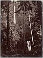 Multnomah Falls, Oregon, Carleton E. Watkins  American, Albumen silver print from glass negative