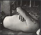 [Beach Scene: Shirtless Man Sleeping Under Boardwalk, Coney Island, New York], Leon Levinstein (American, Buckhannon, West Virginia 1910–1988 New York), Gelatin silver print