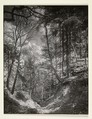 Footpath in the Siebengebirge, August Sander  German, Gelatin silver print