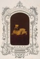 Les Chiens, Pierre-Louis Pierson French, Waxed albumen silver print from glass negative with applied color