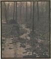Woods Interior, Edward J. Steichen  American, born Luxembourg, Platinum print