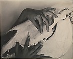 Georgia O'Keeffe—Hands and Horse Skull, Alfred Stieglitz  American, Gelatin silver print