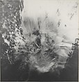 Untitled (Left Panel of Triptych), Adam Fuss  British, Gelatin silver print
