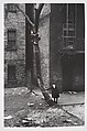 [Two Masked Boys Playing, One Climbing a Tree, New York City], Helen Levitt  American, Gelatin silver print
