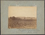 [Cornfield in Back of the Barn], Thomas Eakins  American, Albumen silver print