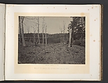 Battle Ground of Resacca, Georgia No. 1, George N. Barnard American, Albumen silver print from glass negative