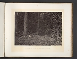 Scene of General McPherson's Death, George N. Barnard American, Albumen silver print from glass negative