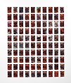 Copperhead Grid, Moyra Davey (American, born Toronto, 1958), Chromogenic prints