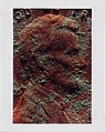Copperhead Grid, Moyra Davey (American, born Toronto, 1958), Chromogenic prints