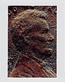 Copperhead Grid, Moyra Davey (American, born Toronto, 1958), Chromogenic prints