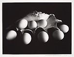 [Shell with Eggs], Shedrich Williames  American, Gelatin silver print