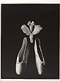 Untitled, Shedrich Williames American, Gelatin silver print
