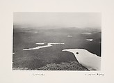 [Lake Charles and Lake Ozark Ripley, Louisiana from the Air], Charles Henry Breed  American, Gelatin silver print