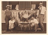 [Fishing Party (Guide? and Three Men) with Bountiful Catch], Charles Henry Breed  American, Gelatin silver print