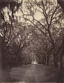 Bonaventure Cemetery, Four Miles from Savannah, George N. Barnard American, Albumen silver print from glass negative